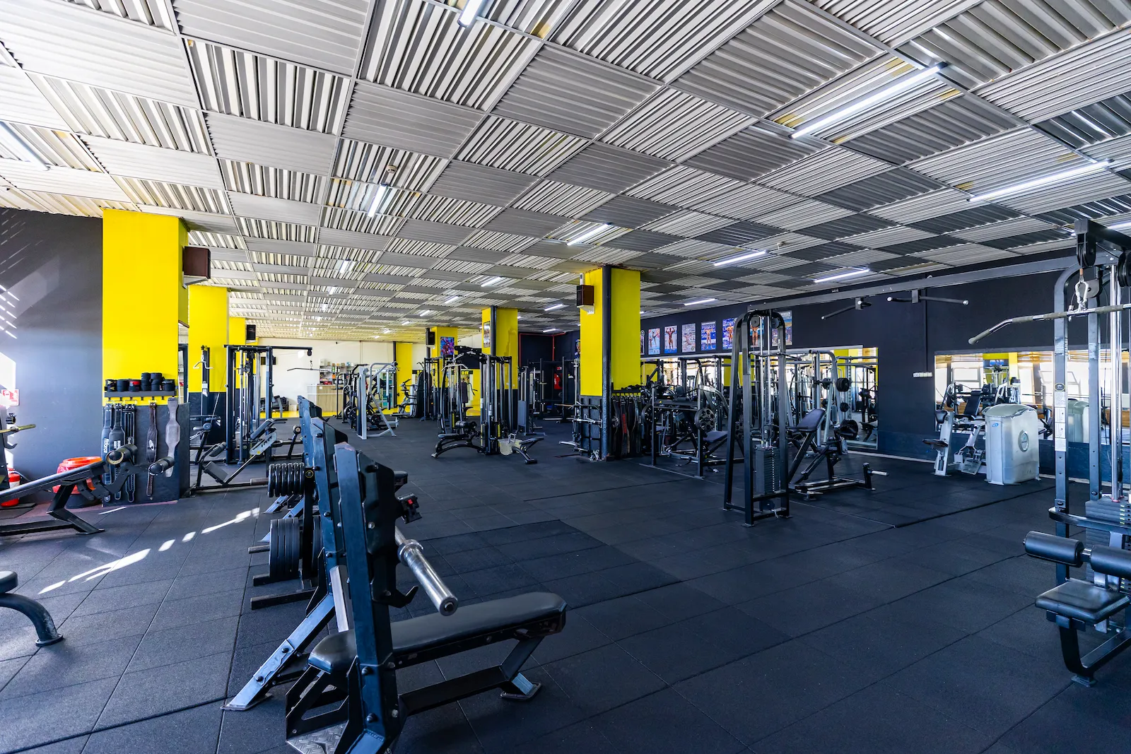 Zona bench CrossGym
